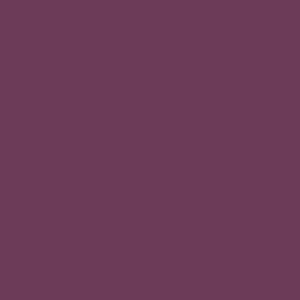 Rustic Paradox